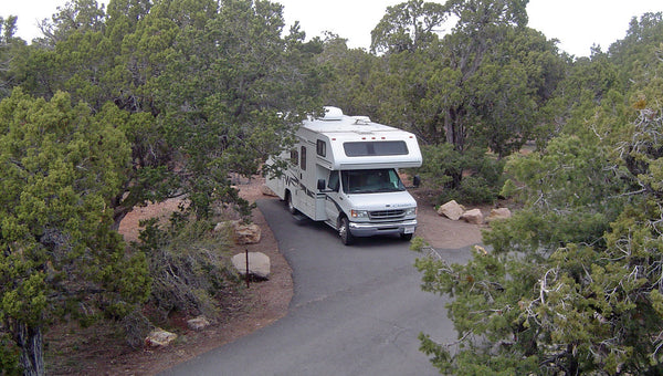 Best 12 Campgrounds & RV Parks in Tampa, Florida