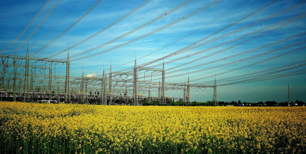 SCE Outage Map: Usage, Report, Sign Up For Alerts, and More