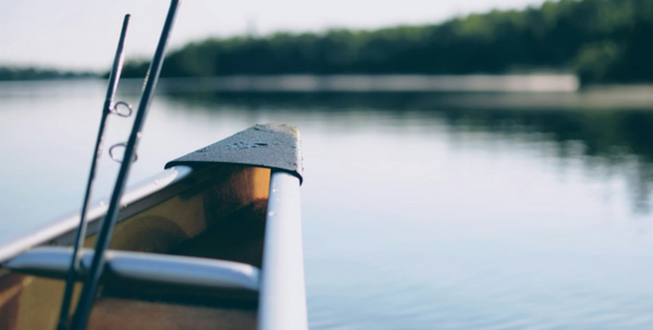 Crappie Fish 101: What They Are and How to Catch Them Successfully