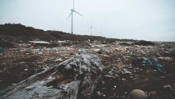 What is Land Pollution? (Causes & Effects)