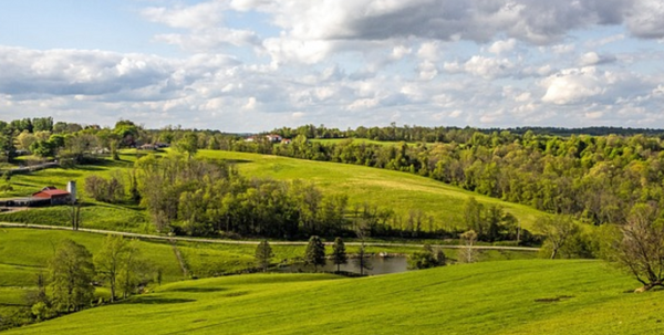 Pennsylvania Hunting: Seasons, Bag Limits, Regulations and Much More (2025 Updated)