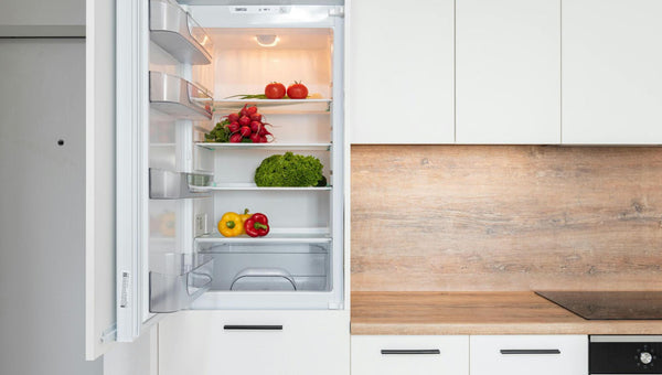 How to Keep a Fridge Running During a Power Outage?