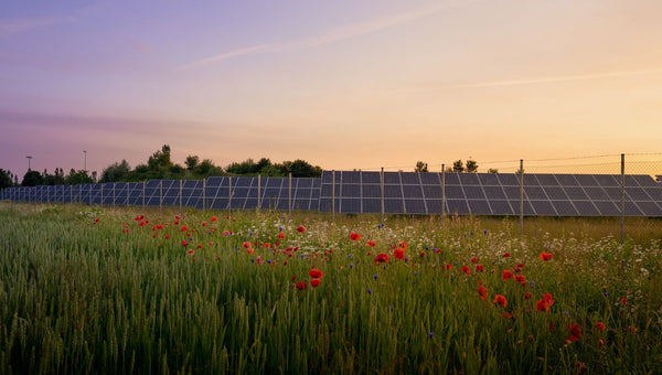 A Complete Guide Guide to Best Solar Companies in Maryland (M.D.)