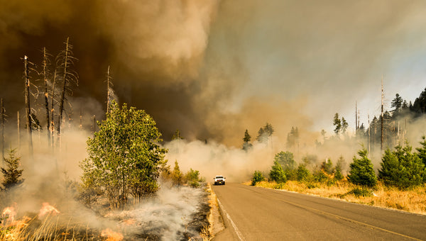 How to prepare for a wildfire