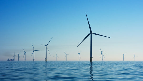 What is Clean Energy? (Plus 6 Examples)