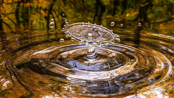 water in the wild