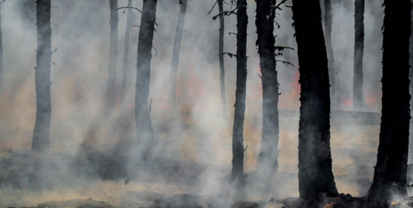 The Best Way to Protect Yourself From Wildfire Smoke