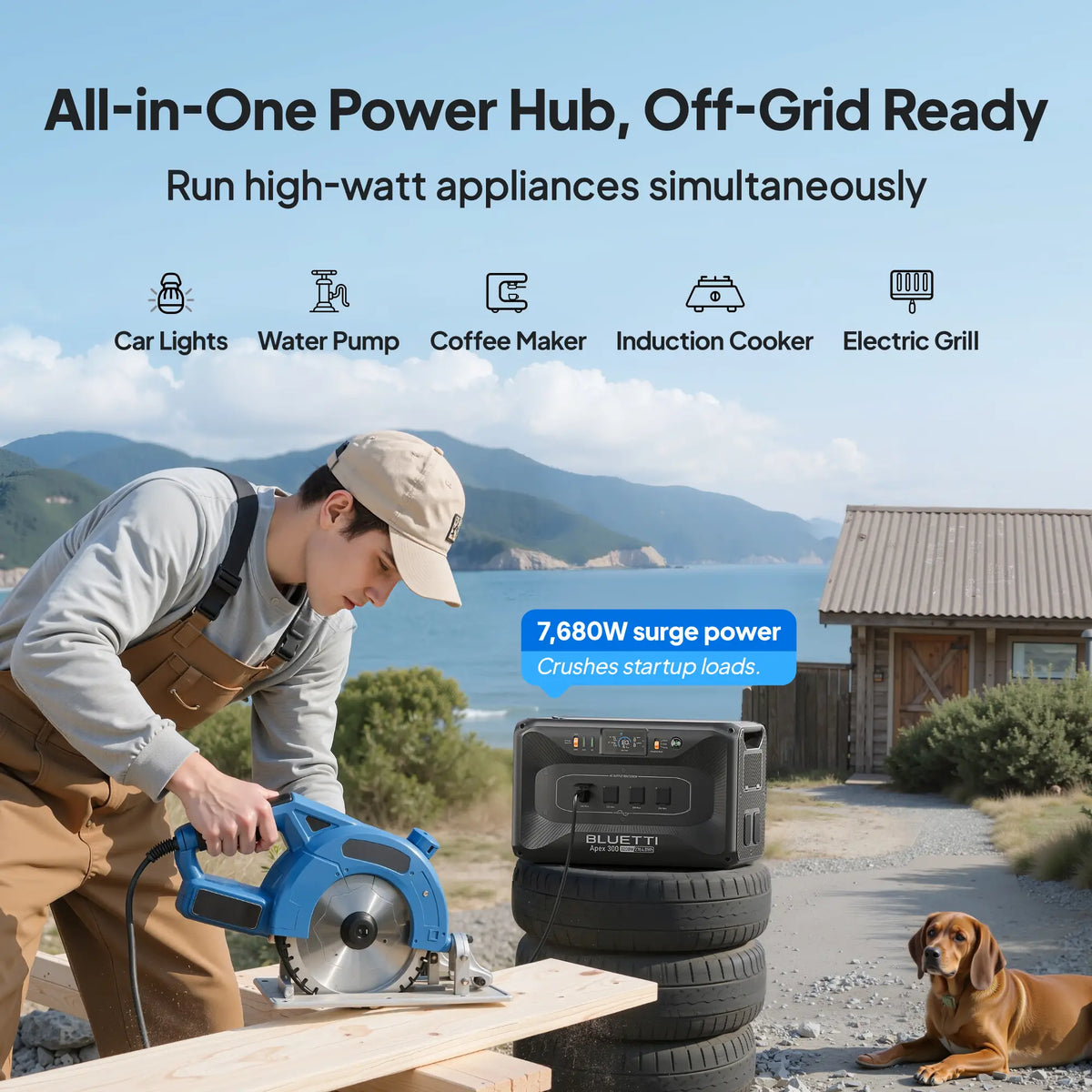 Apex300+2x200W+Hub D1 -A