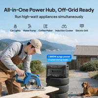 Apex300+2x200W+Hub D1 -A