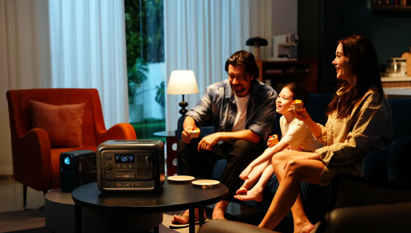 What is a Battery Management System (BMS)?