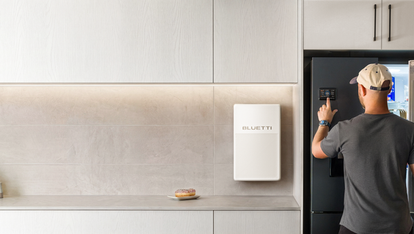 Portable Power Station vs. Dedicated Fridge Backup: Which Should You Choose?