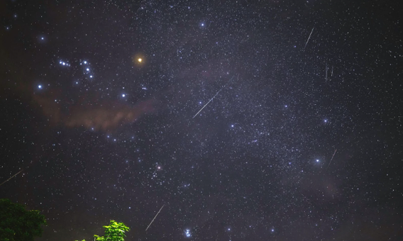Leonids Meteor Shower 2025: What to Expect And How to Watch？