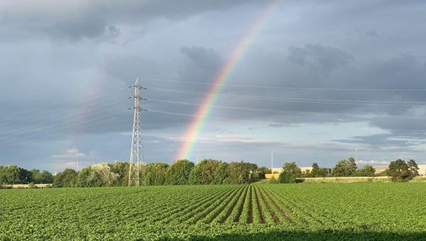 Role of solar in agriculture