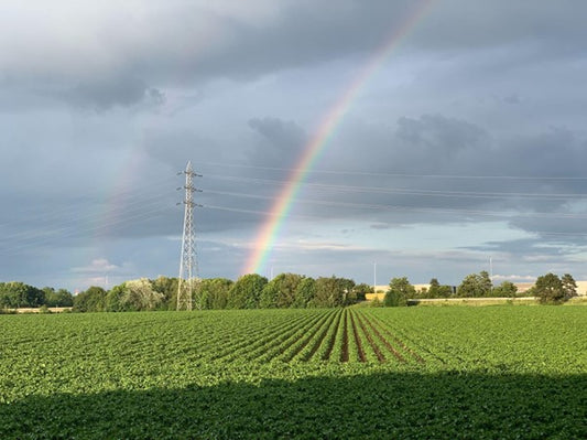 Role of solar in agriculture