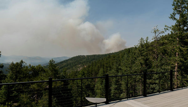 Starlink for RV: The Complete 2025 Guide to Staying Connected on the Road