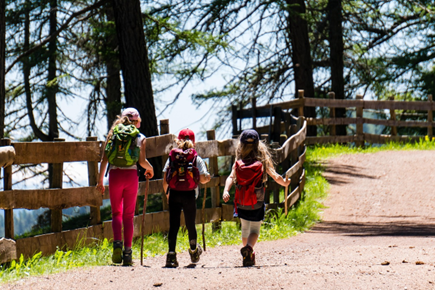 What to Pack for a Day Hike: Gear, Food, and Safety Must-Haves!