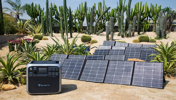 Solar-Powered Garden