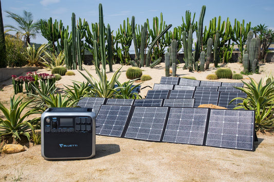 Solar-Powered Garden