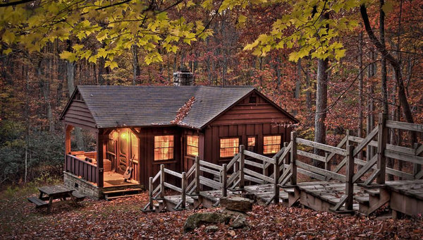 How to Build a Cabin to Start Off-Grid Living?