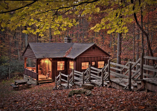 How to Build a Cabin to Start Off-Grid Living?