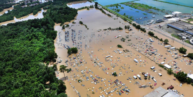 Flood Response Guide: How and Why to Act Immediately