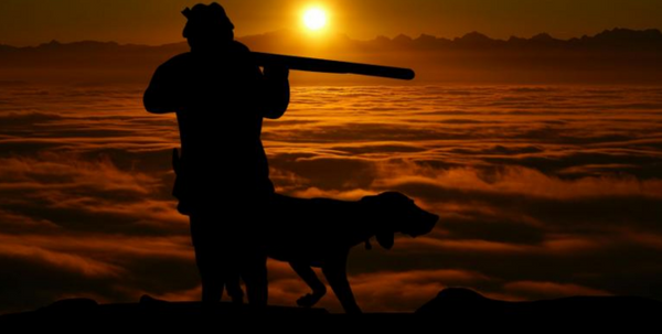 The Ultimate Guide to Hunting Season: Your Complete Resource For 2025