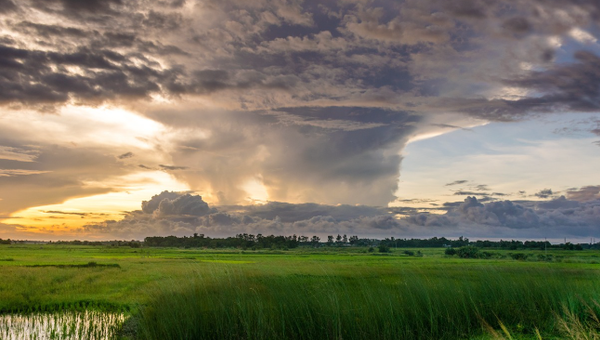 Best Generator For Hurricane Season: Be Prepared Before the Next Storm Hits!