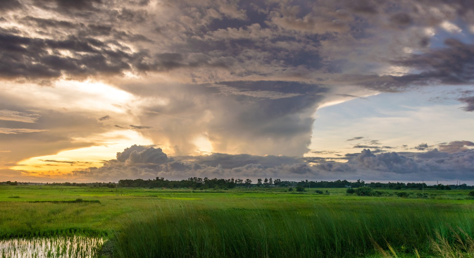 Best Generator For Hurricane Season: Be Prepared Before the Next Storm Hits!