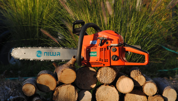 The Ultimate Spring Gardening Guide: Choosing the Best Portable Power Setup for Your Backyard Tools