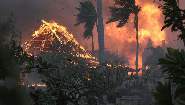 How to Deal with Power Outages Caused by Wildfires and Typhoons?