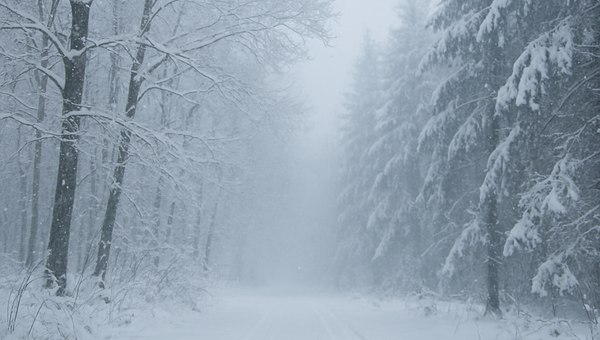 Why Meteorological Winter Matters for Planning, Safety, and Energy Management