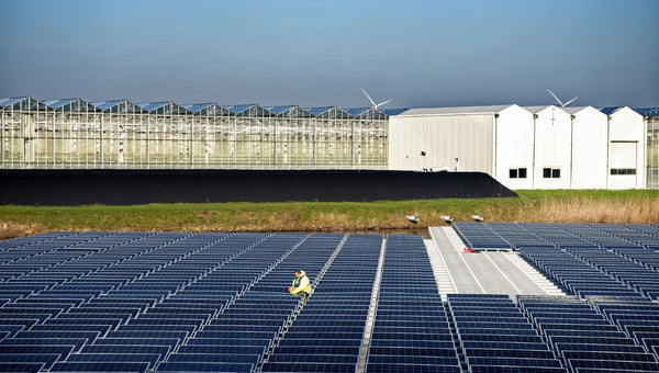 The Top 10 Solar Companies In North Carolina (NC)