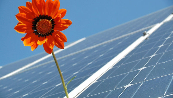 Guide to 10 Best Solar Companies in Illinois (IL)