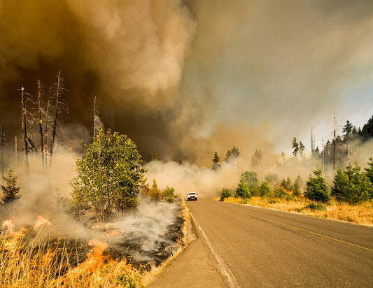How to prepare for a wildfire
