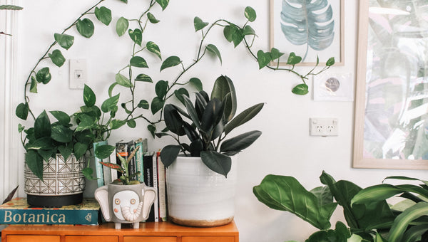 green smart home