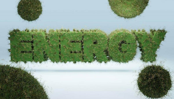 renewable energy examples