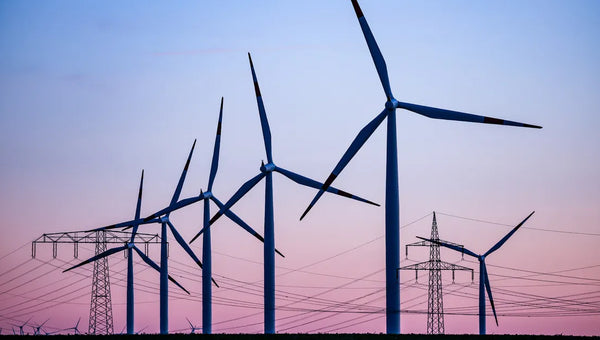 Rayle Emc:Pay Bill |Check Outages Map|Customer Service|Phone Number