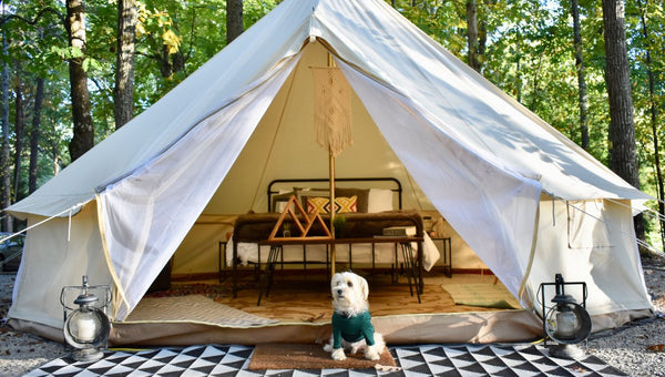 How to Choose Big Camping Tents for Your Family?