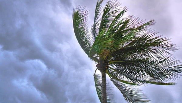 SHTF Explained: What Happens When Life Breaks Down And How to Prepare!