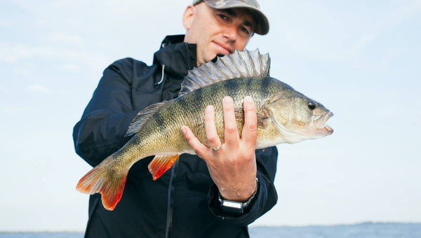 Fishing 101 Checklist: Prepare for Your Fishing Trip like a Pro