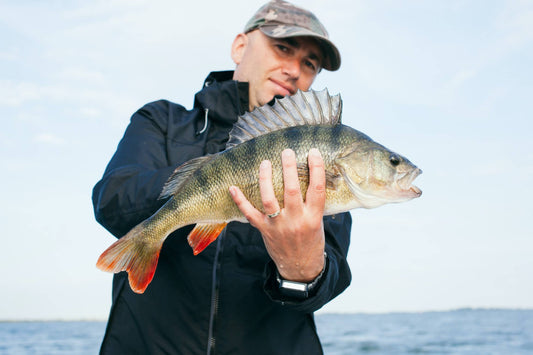 Fishing 101 Checklist: Prepare for Your Fishing Trip like a Pro