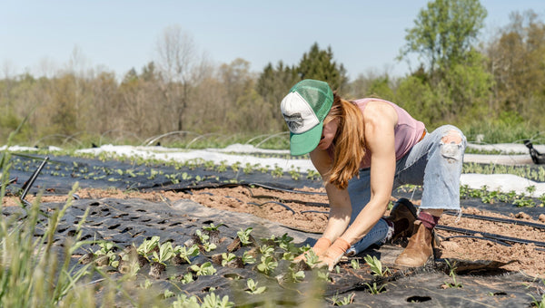 Portable Solar Panels for Farmers 