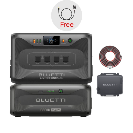 Apex 300+B300K +Charger 1（Free 1*PV Cable）