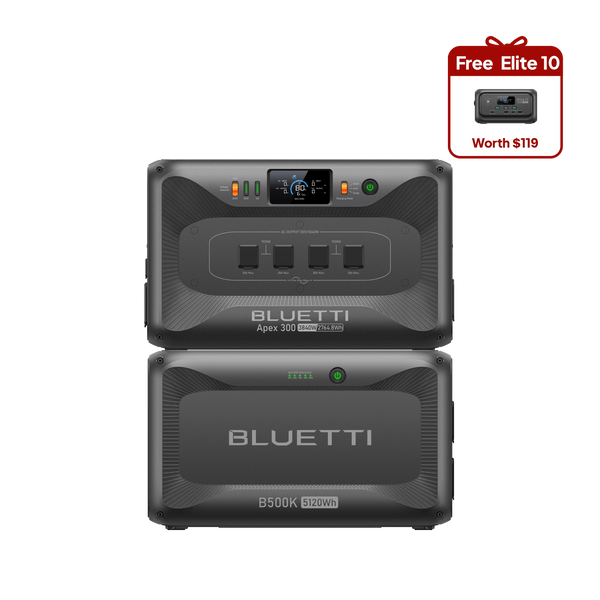 Apex_300_B500K_elite_10_1x_19b