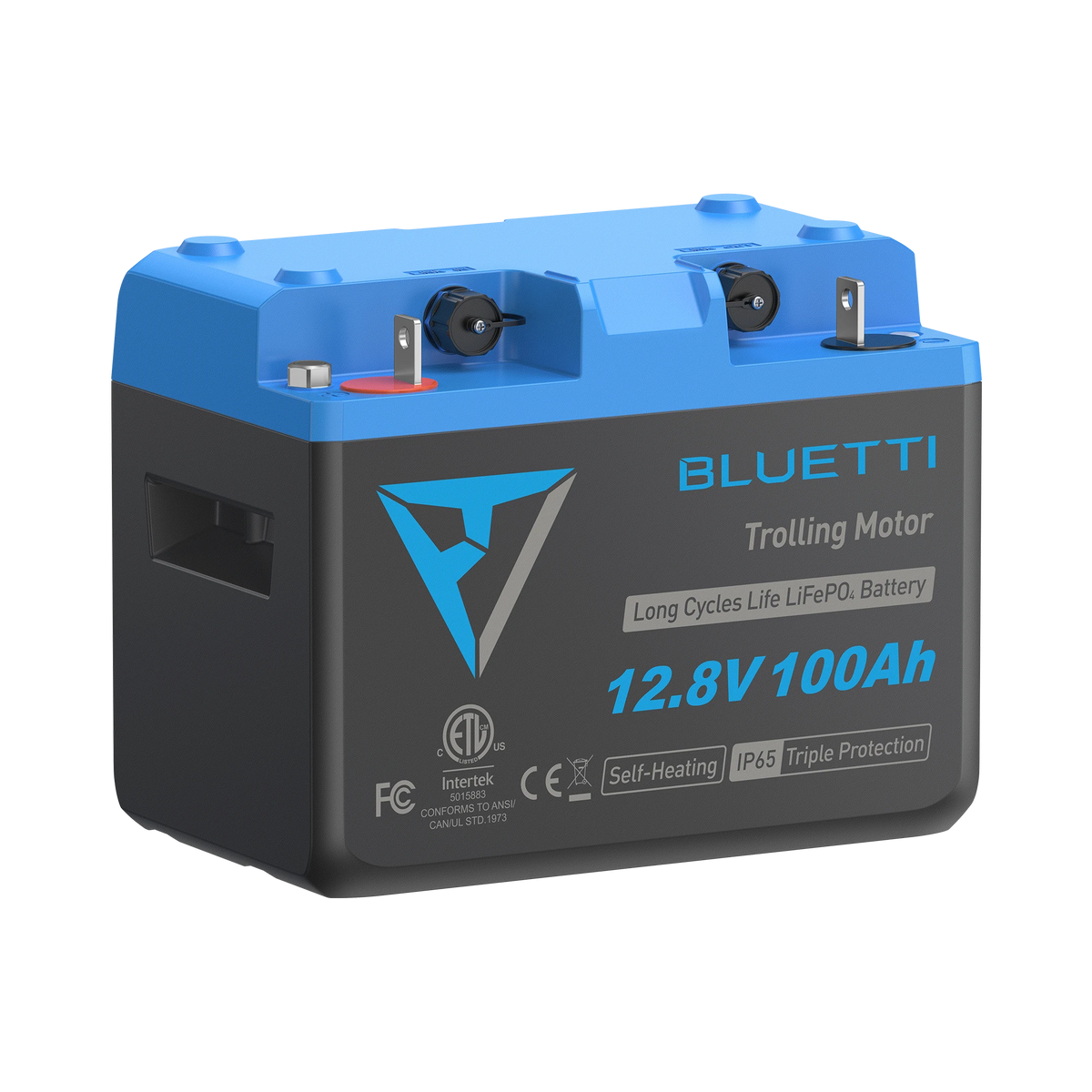 BLUETTI B1210 LiFePO₄ Battery | 12.8 V, 100 Ah -A