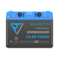 BLUETTI B1210 LiFePO₄ Battery | 12.8 V, 100 Ah -A