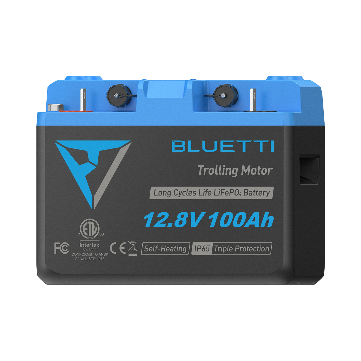 BLUETTI B1210 LiFePO₄ Battery | 12.8 V, 100 Ah -A
