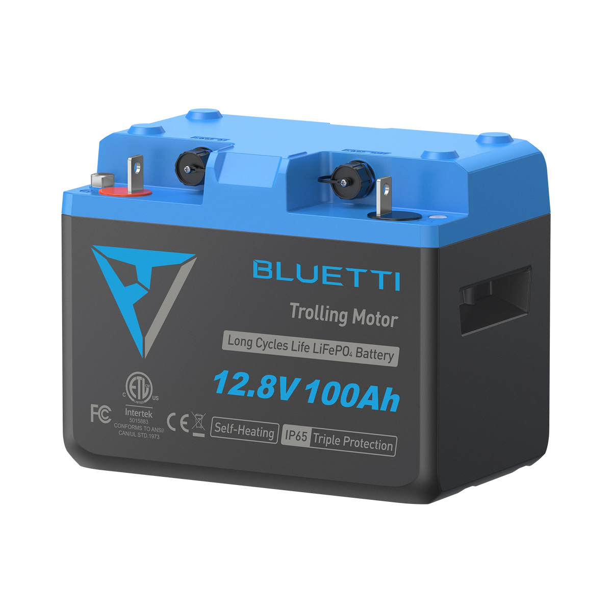 BLUETTI B1210 LiFePO₄ Battery | 12.8 V, 100 Ah -A