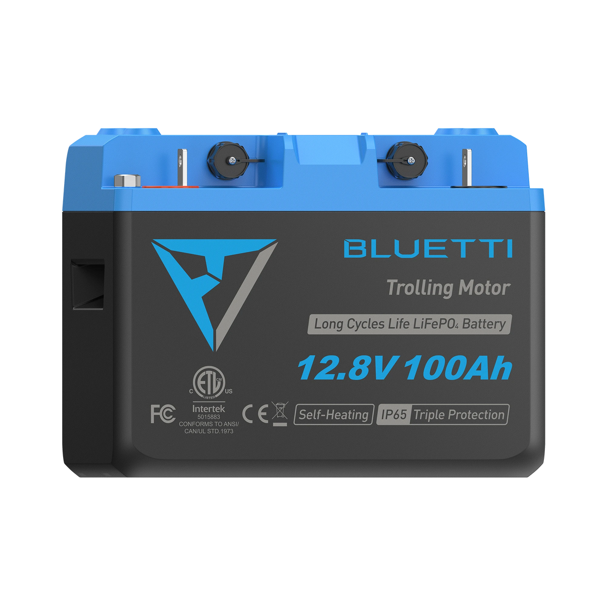 BLUETTI B1210 LiFePO₄ Battery | 12.8 V, 100 Ah -A